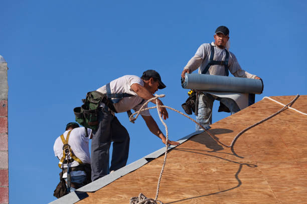 Best New Roof Installation  in Rose Hill, NC