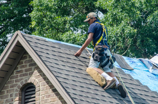 Best Storm Damage Roof Repair  in Rose Hill, NC